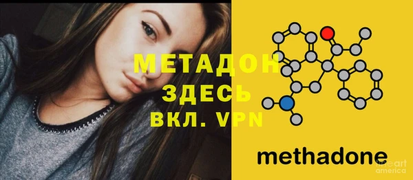 гидра Богданович