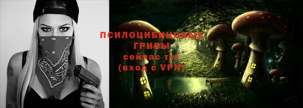MDMA Богородицк