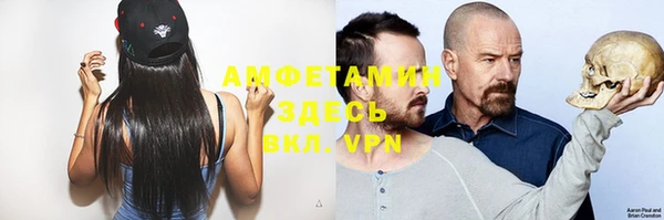 гидра Богданович