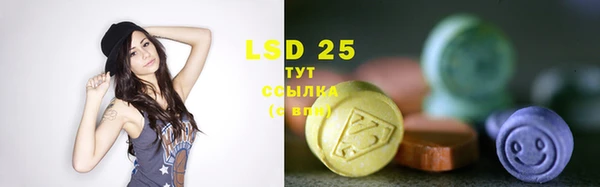 гидра Богданович