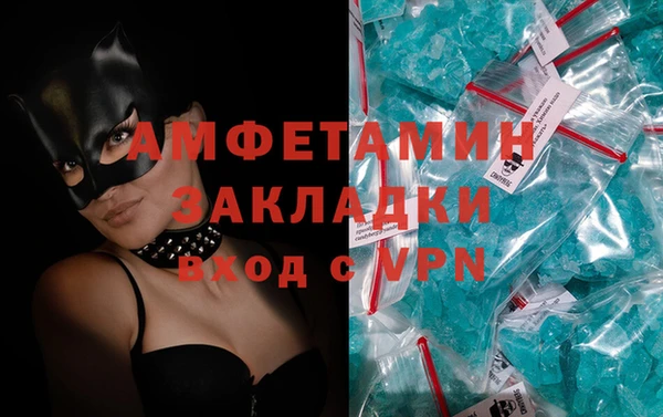 гидра Богданович