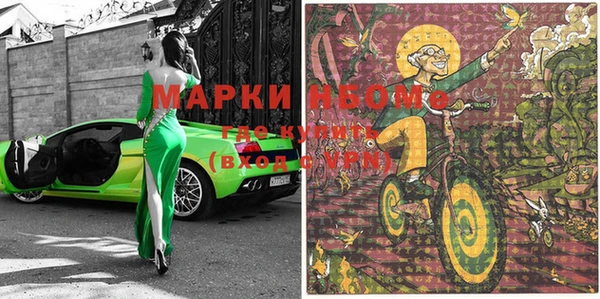 гидра Богданович