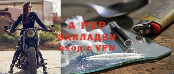 гидра Богданович