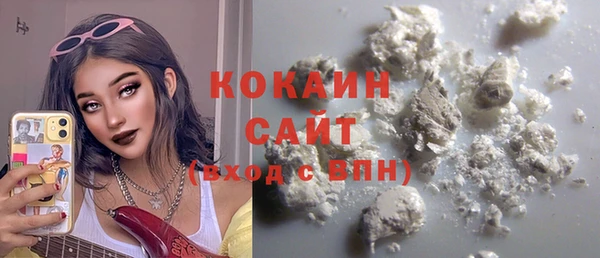 гидра Богданович