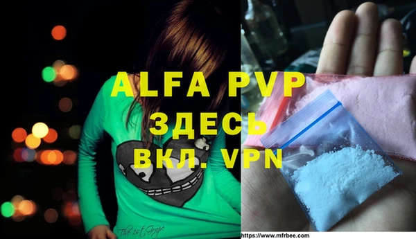 гидра Богданович