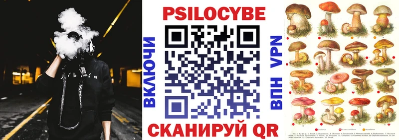 Купить где  Суровикино  Псилоцибиновые грибы Psilocybine cubensis 